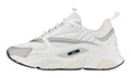 Dior B22 'White Grey'