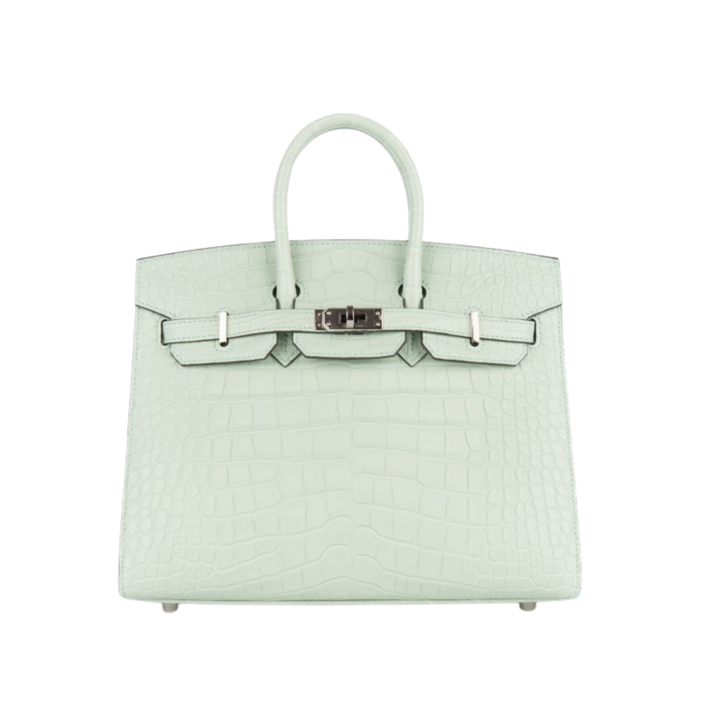 Hermès Bag | Birkin 25 Matte Alligator