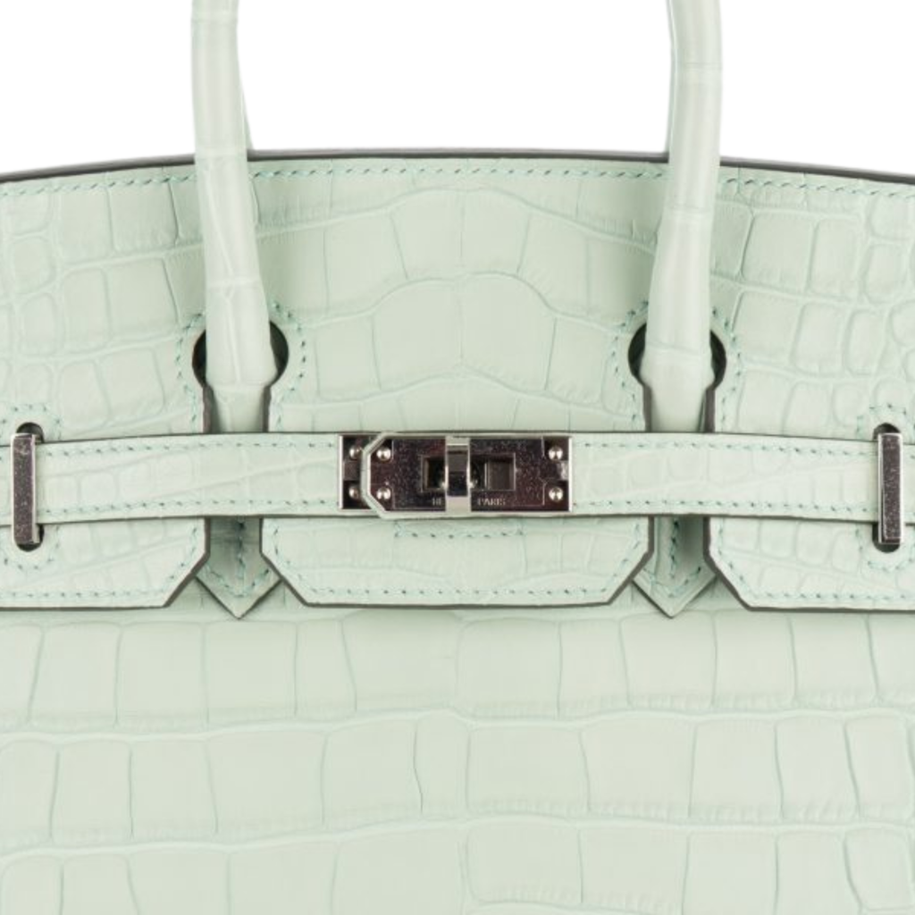 Hermès Bag | Birkin 25 Matte Alligator