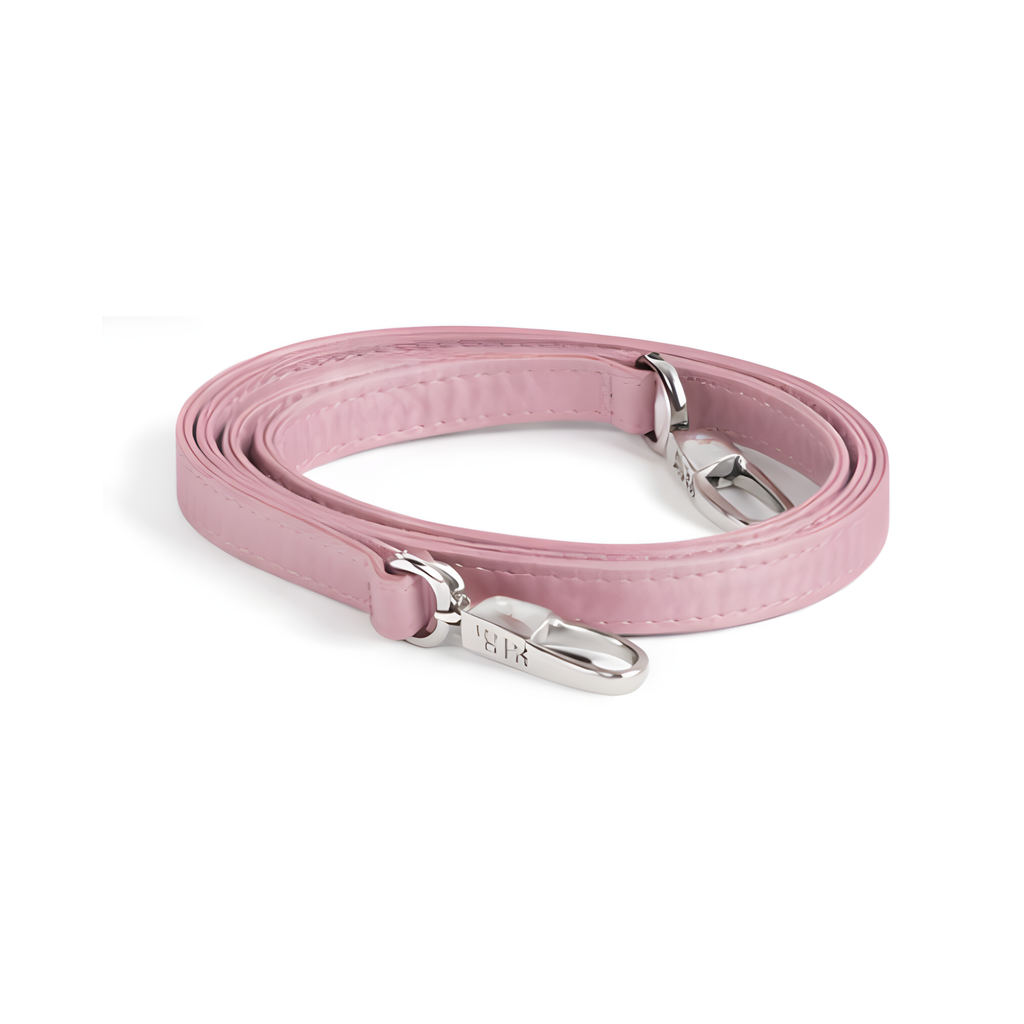 Dior Bag | Dior Mini Light Pink