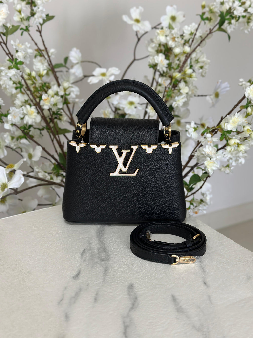 Louis Vuitton Bag | Capucines Black