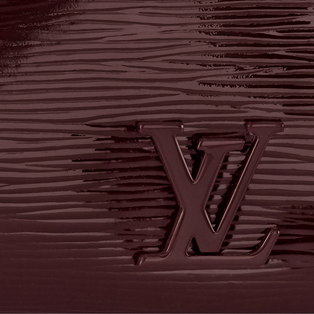 Louis Vuitton Bag | Cluny Mini Burgundy