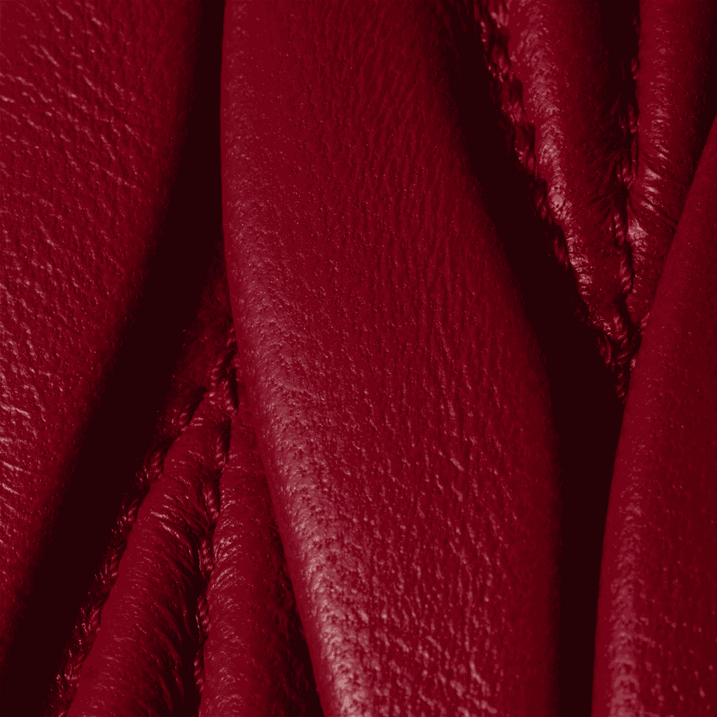 Miu Miu Bag | Arcadie matelassé nappa leather mini-bag "Red"