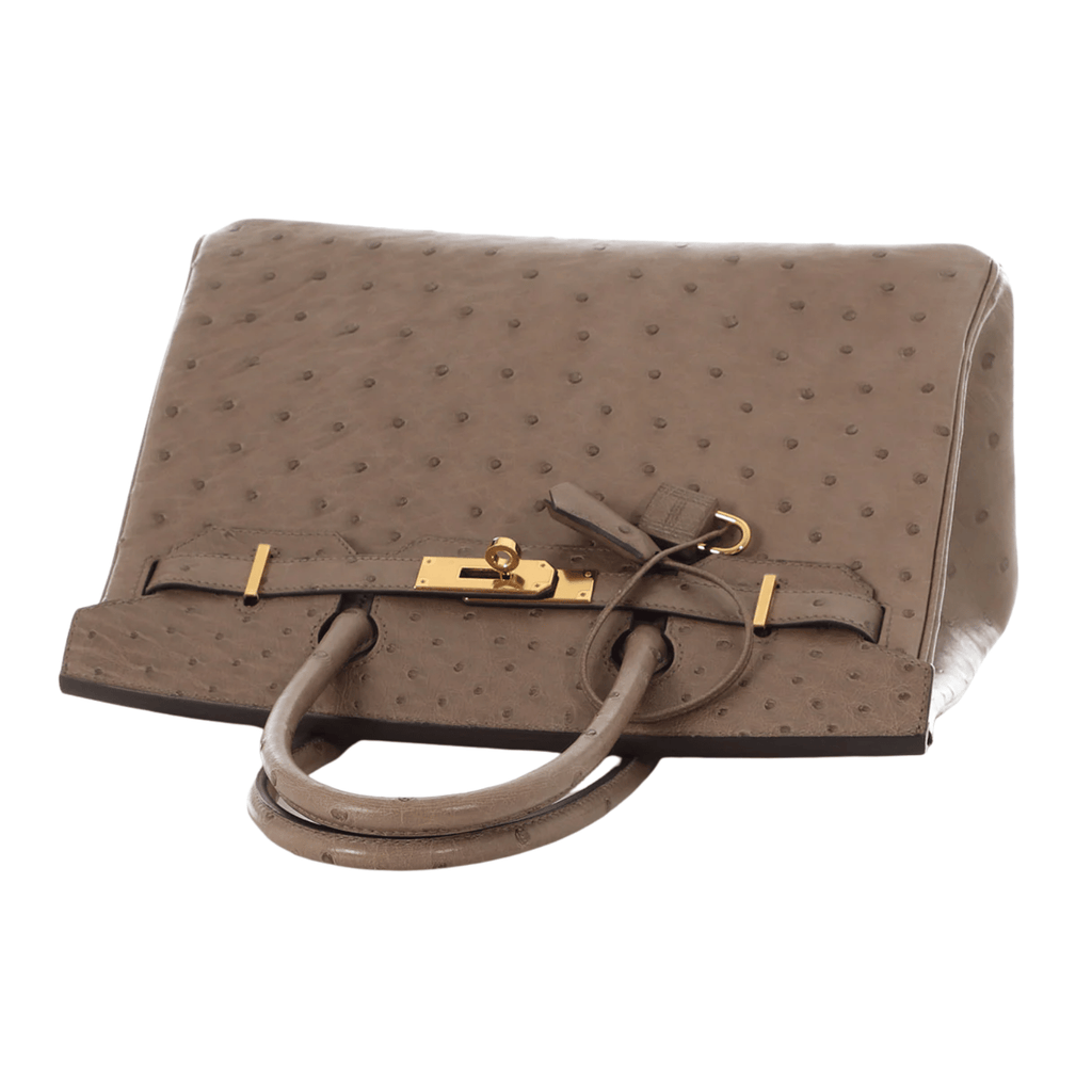Hermès Bag | Ostrich Birkin Sellier Brown