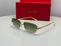 Cartier Panthère CT0583S