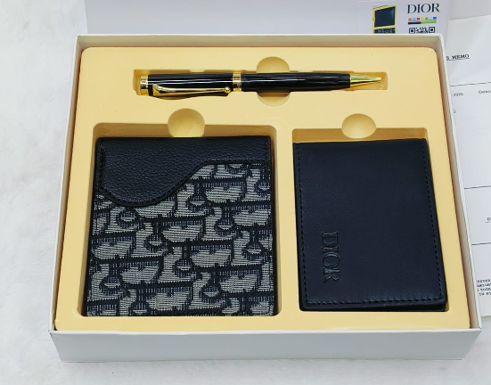 Dior Saddle business Set