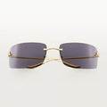 Cartier Panthère CT0503S
